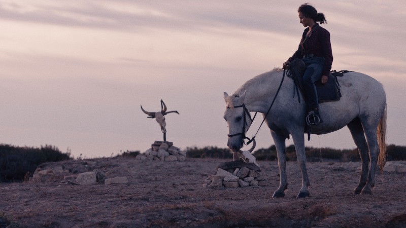 Xem Phim Animale, Animale 2024