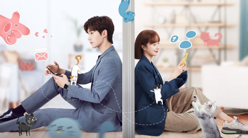 Xem Phim Bất Cẩn Meow Phải Anh, Accidentally Meow On You 2022