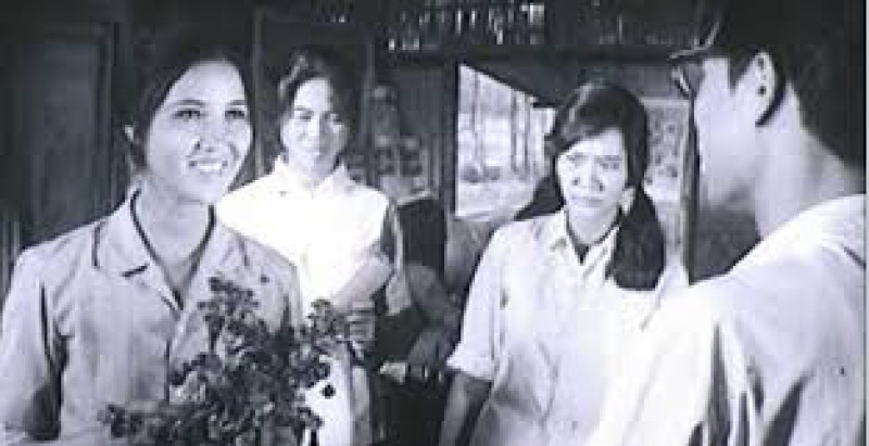 Xem Phim Bình Minh Xôn Xao, Bình Minh Xôn Xao 1977 Xem Phim Bình Minh Xôn Xao, Bình Minh Xôn Xao 1977