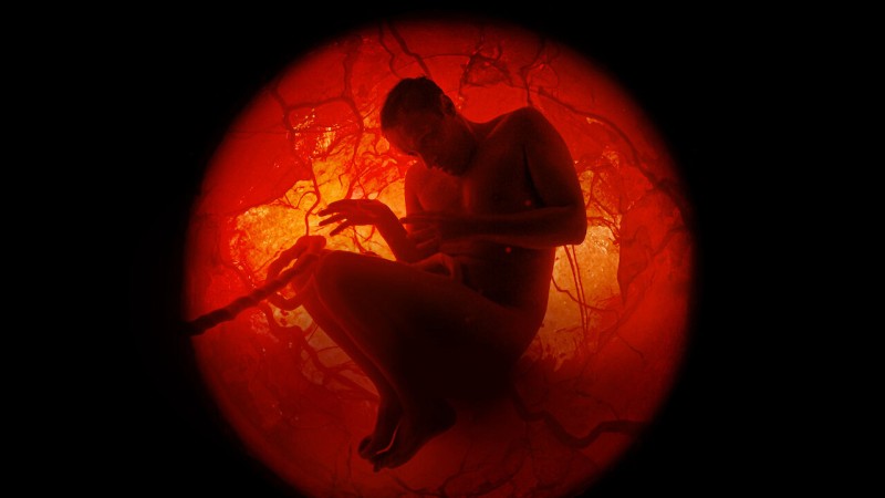 Xem Phim Cả một đời người với Jamie Demetriou, A Whole Lifetime with Jamie Demetriou 2023