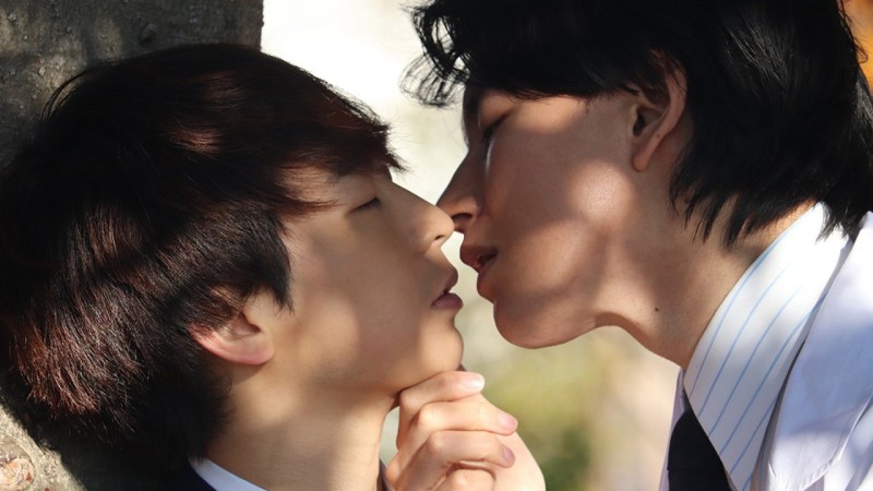 Xem Phim Cầu hôn lo lắng, Nervous Propose 2024