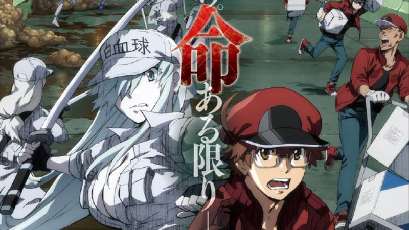 Xem Phim Cells at Work! BLACK, Cells at Work! BLACK 2021