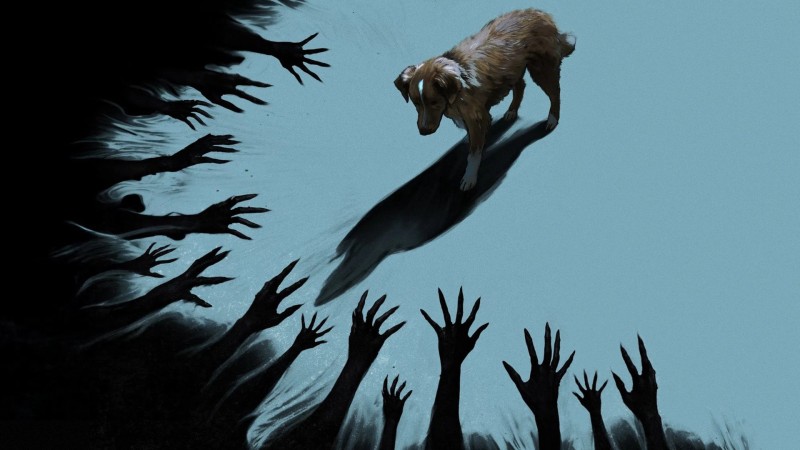 Xem Phim Chó Cưng Đừng Sợ, Good Boy 2025 Xem Phim Chó Cưng Đừng Sợ, Good Boy 2025