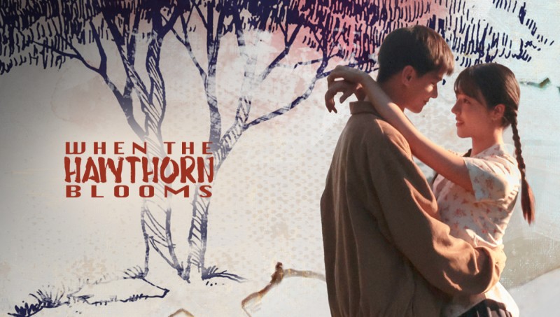 Xem Phim Chuyện Tình Cây Sơn Tra, When The Hawthorn Blooms 2025 Xem Phim Chuyện Tình Cây Sơn Tra, When The Hawthorn Blooms 2025