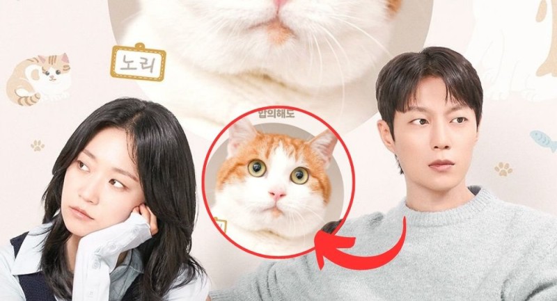 Xem Phim Cuộc Chiến Dành Quyền Nuôi Mèo, 냥육권 전쟁 2025