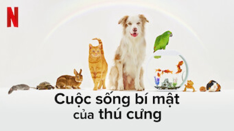 Xem Phim Cuộc sống bí mật của thú cưng, The Hidden Lives of Pets 2022
