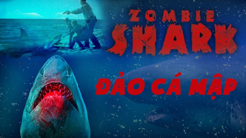 Xem Phim Đảo Cá Mập, Shark Island 2015