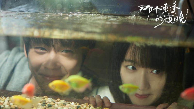 Xem Phim Đêm Đoàn Tụ Ấy, We Shall Meet Again 2024 Xem Phim Đêm Đoàn Tụ Ấy, We Shall Meet Again 2024