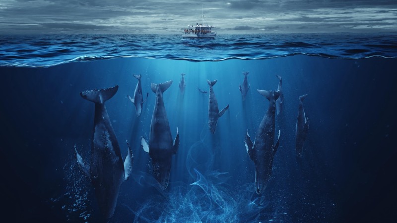 Xem Phim Đại Dương Thức Tỉnh, The Swarm 2023