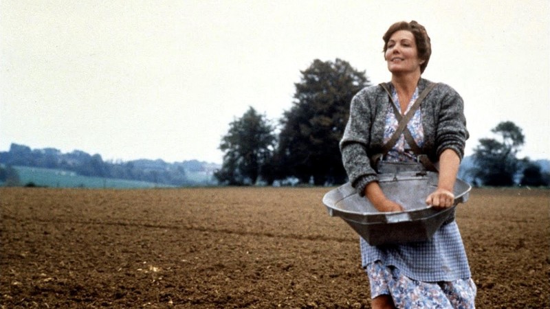 Xem Phim Dòng Antonia, Antonia's Line 1995 Xem Phim Dòng Antonia, Antonia's Line 1995