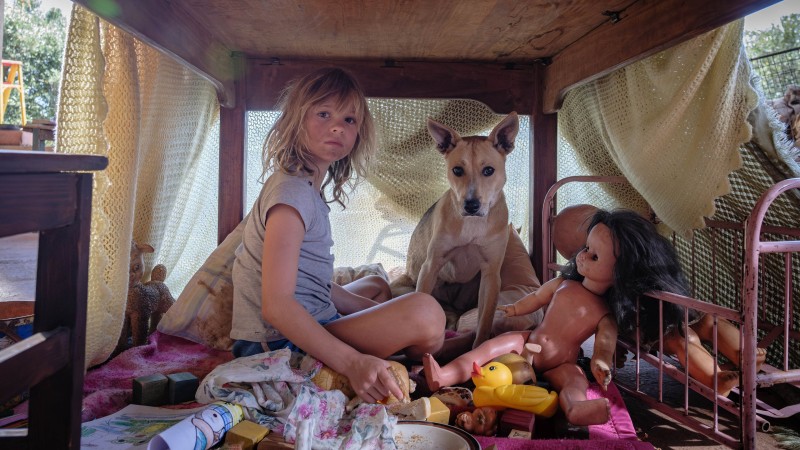 Xem Phim Đứa Trẻ của Chiến Tranh, Don't Let's Go to the Dogs Tonight 2025