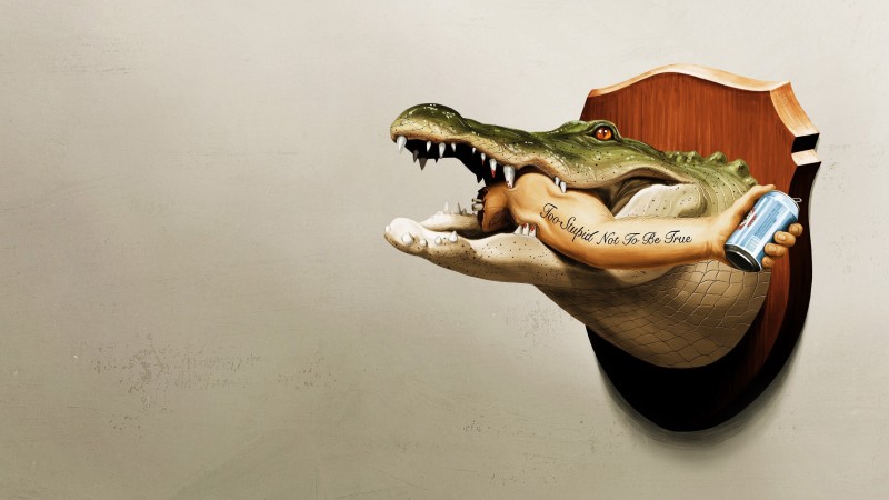 Xem Phim Florida Là Thế Đó, It's Florida, Man. 2024