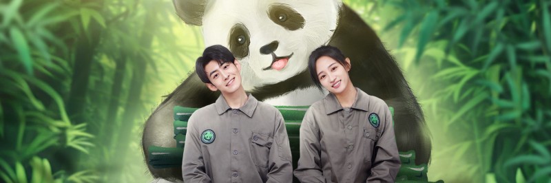 Xem Phim Gấu Trúc Và Bạn, Lăn Đến Đây!, Panda & You Rolling In 2025