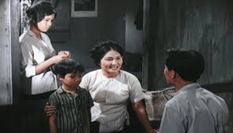 Xem Phim Kén Rể, Kén Rể 1975