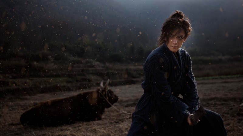 Xem Phim Lệnh Truy Nã Giang Hồ, Wanted 2025