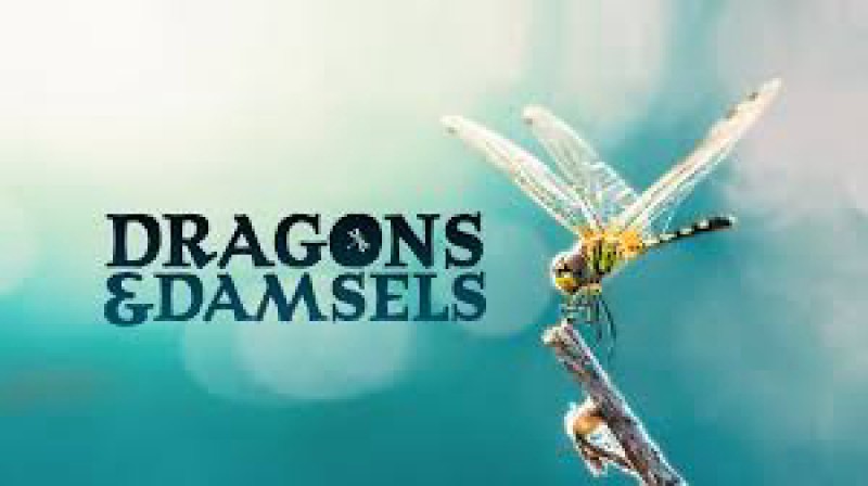 Xem Phim Loài Chuồn Chuồn, Dragons and Damsels 2019