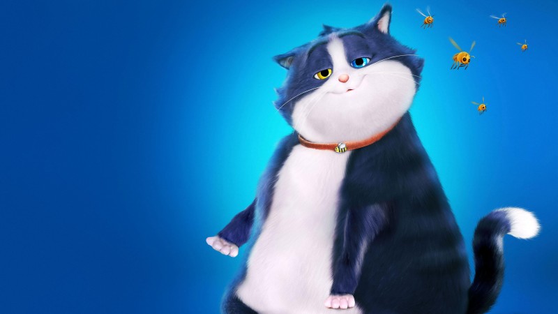 Xem Phim Mèo Mập Mang 10 Mạng, 10 Lives 2024