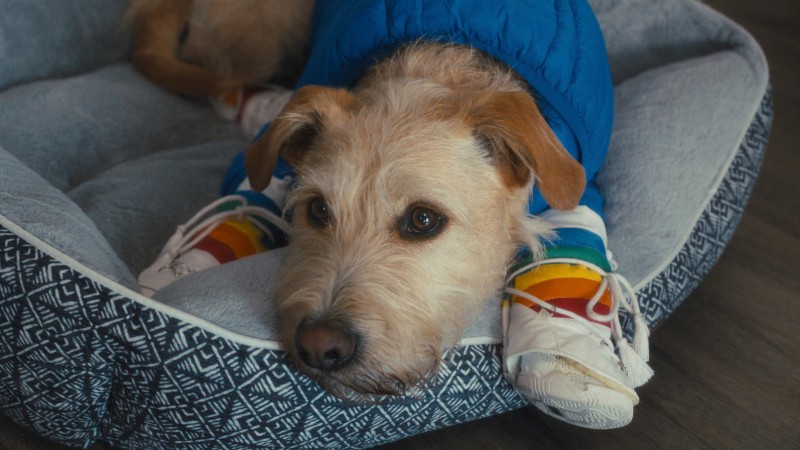 Xem Phim Merv, Merv 2025 Xem Phim Merv, Merv 2025