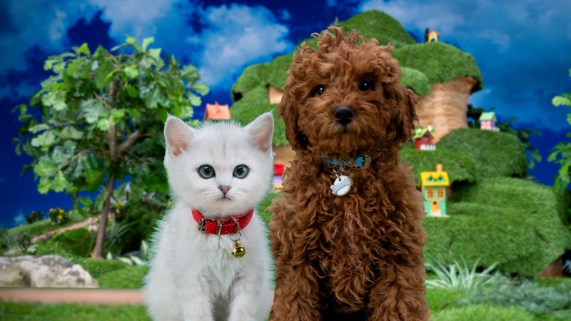 Xem Phim Mittens Và Pants, Mittens & Pants 2023