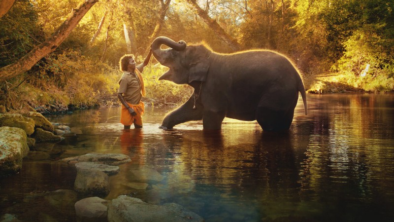 Xem Phim Người chăm voi, The Elephant Whisperers 2022 Xem Phim Người chăm voi, The Elephant Whisperers 2022
