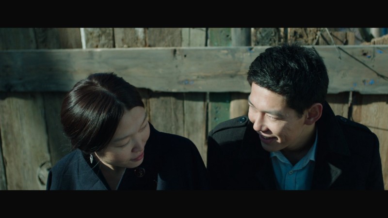 Xem Phim những con mòng biển, The Gulls 2015