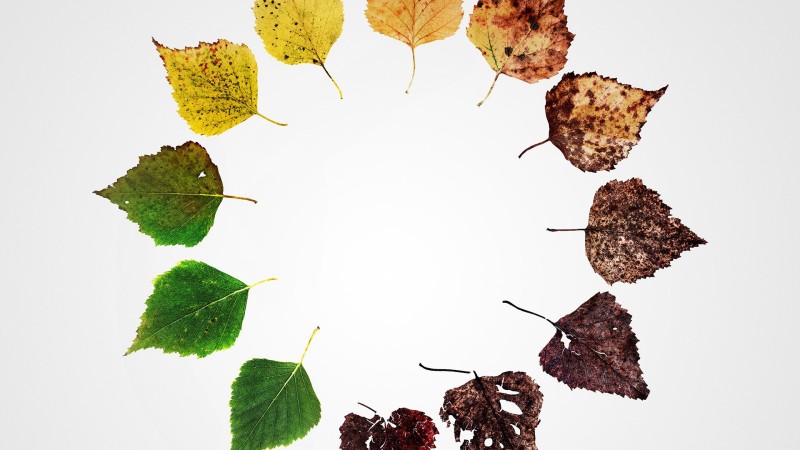 Xem Phim Những Kết Thúc Khác: Sáu Cách Mới Để Chết Ở Mỹ, Alternate Endings: Six New Ways to Die in America 2019 Xem Phim Những Kết Thúc Khác: Sáu Cách Mới Để Chết Ở Mỹ, Alternate Endings: Six New Ways to Die in America 2019