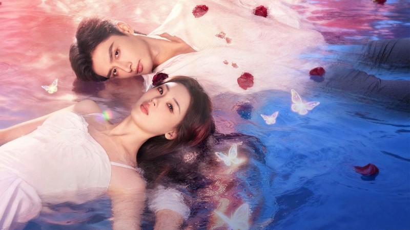 Xem Phim Phá Kén Hoá Bướm, Long Planned Love 2025