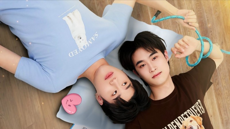 Xem Phim Phải Lòng Cún Con, DogBro 2025 Xem Phim Phải Lòng Cún Con, DogBro 2025