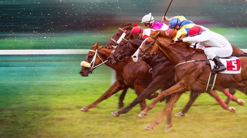 Xem Phim Phi Nước Kiệu Đến Ngôi Vương, Race for the Crown 2025 Xem Phim Phi Nước Kiệu Đến Ngôi Vương, Race for the Crown 2025