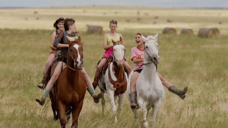 Xem Phim Phía Đông của Wall, East of Wall 2025 Xem Phim Phía Đông của Wall, East of Wall 2025