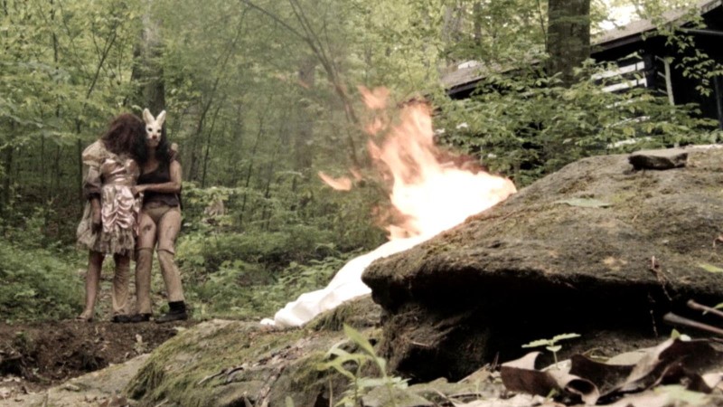 Xem Phim Plank Face, Plank Face 2016