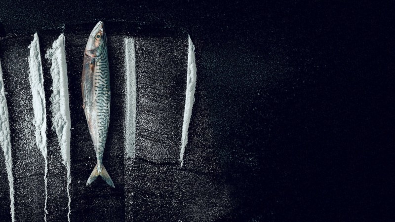 Xem Phim Sống Triều Đổi Vận: Câu Chuyện Siêu  Thực Tế Rabo de Peixe, Turn of the Tide: The Surreal Story of Rabo de Peixe 2025