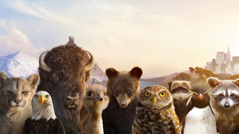 Xem Phim The Americas, The Americas 2025