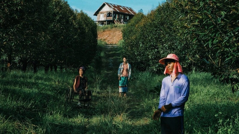 Xem Phim Thiên Đường Quả Báo, The Paradise of Thorns 2024