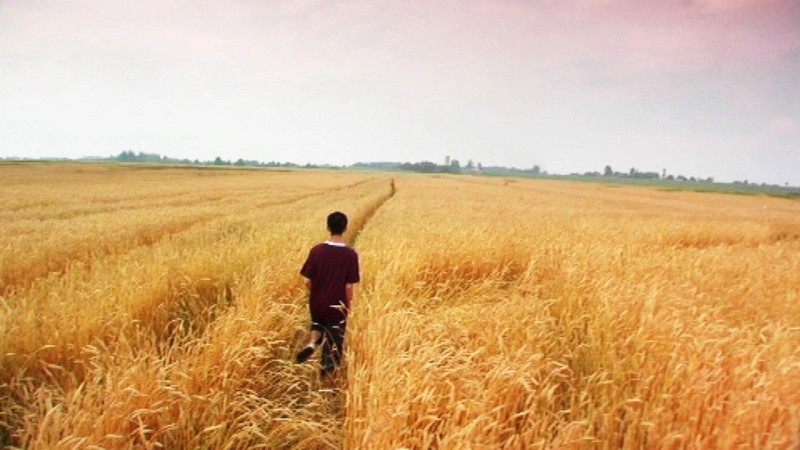 Xem Phim Tôi chỉ yêu người lạ, Innocent 2005