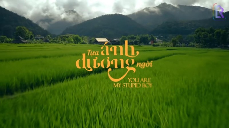 Xem Phim Tựa Ánh Dương Ngời, You Are My Stupid Boy 2022