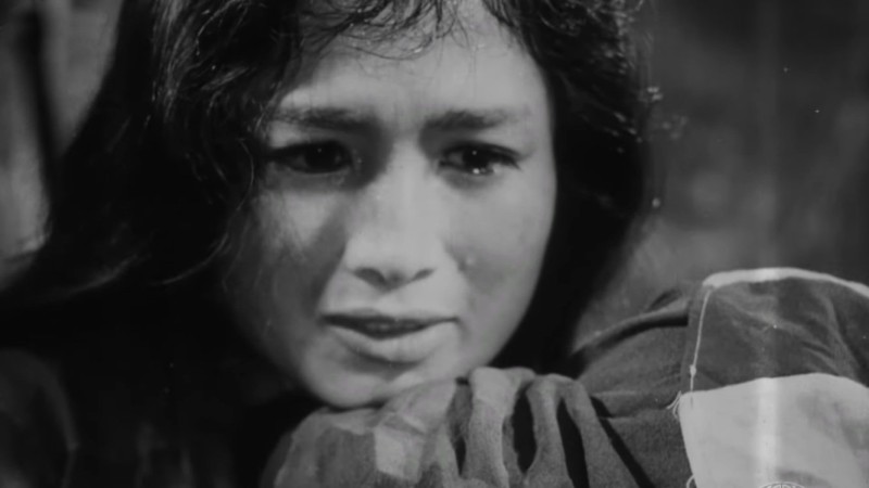 Xem Phim Vĩ Tuyến 17 Ngày Và Đêm, 17th Parallel, Nights and Days 1973