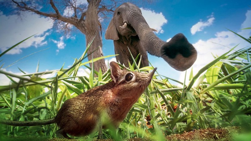 Xem Phim Vương Quốc Bí Ẩn, Hidden Kingdoms 2009