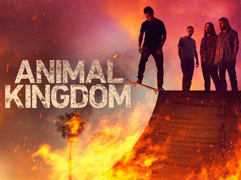 Xem Phim Vương quốc động vật (Phần 6), Animal Kingdom (Season 6) 2022