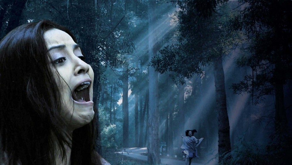 Xem Phim Haunted 3D (Bức Tranh Bí Ẩn) (2011), 2011 Xem Phim Haunted 3D (Bức Tranh Bí Ẩn) (2011), 2011