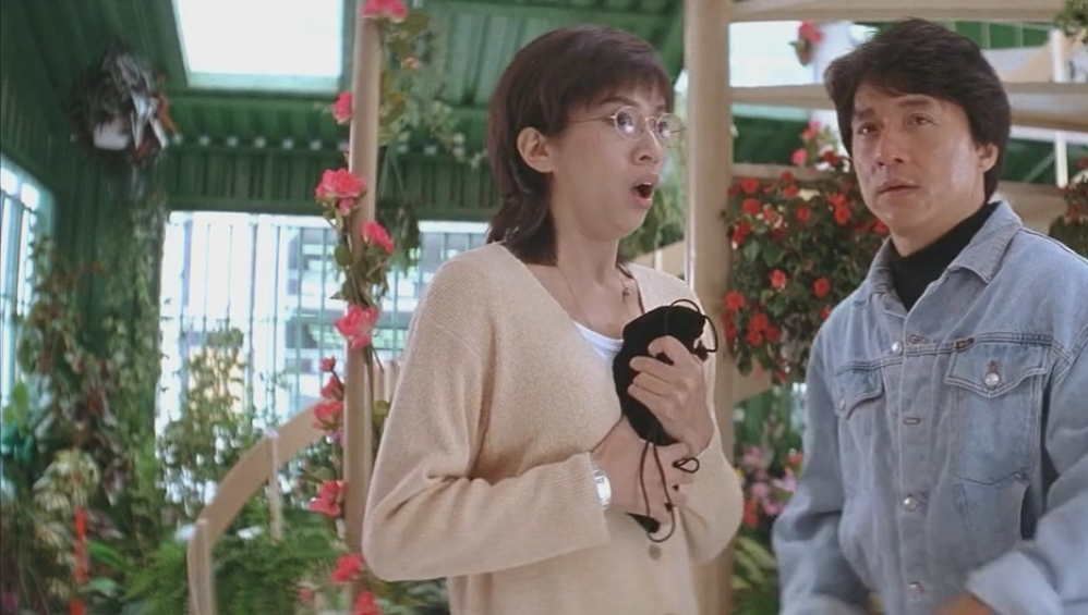 Xem Phim Đại Náo Khu Phố Bronx (Rumble in the Bronx) (1995), 1995 Xem Phim Đại Náo Khu Phố Bronx (Rumble in the Bronx) (1995), 1995