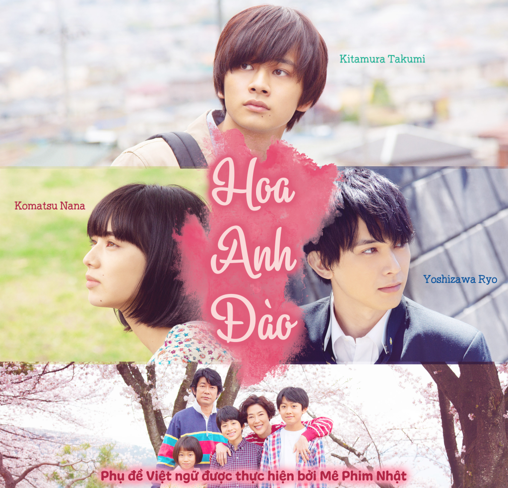 Xem Phim Hoa Anh Đào, Sakura 2020 Xem Phim Hoa Anh Đào, Sakura 2020