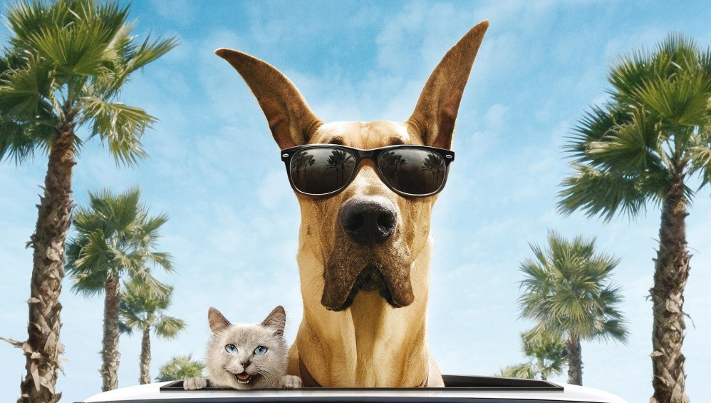 Xem Phim Chú Chó Marmaduke (Marmaduke) (2010), 2010 Xem Phim Chú Chó Marmaduke (Marmaduke) (2010), 2010