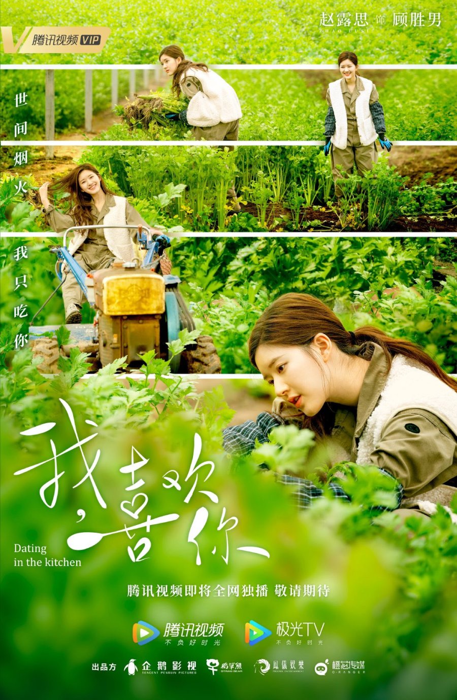 Xem Phim Yêu Em Từ Dạ Dày, Dating In The Kitchen 2020 Xem Phim Yêu Em Từ Dạ Dày, Dating In The Kitchen 2020