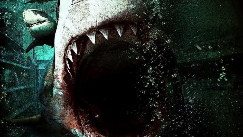 Xem Phim Bait (Mồi Nhử) (2012), 2012 Xem Phim Bait (Mồi Nhử) (2012), 2012