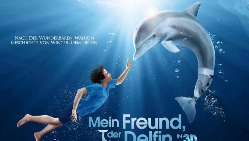 Xem Phim Dolphin Tale (Câu Chuyện Cá Heo) (2011), 2011 Xem Phim Dolphin Tale (Câu Chuyện Cá Heo) (2011), 2011